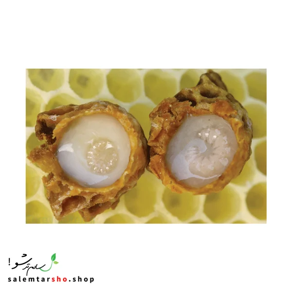 رویال ژلی فوراور، اکسیر جوانی طبیعی برای تقویت ایمنی، انرژی، باروری و سلامت پوست